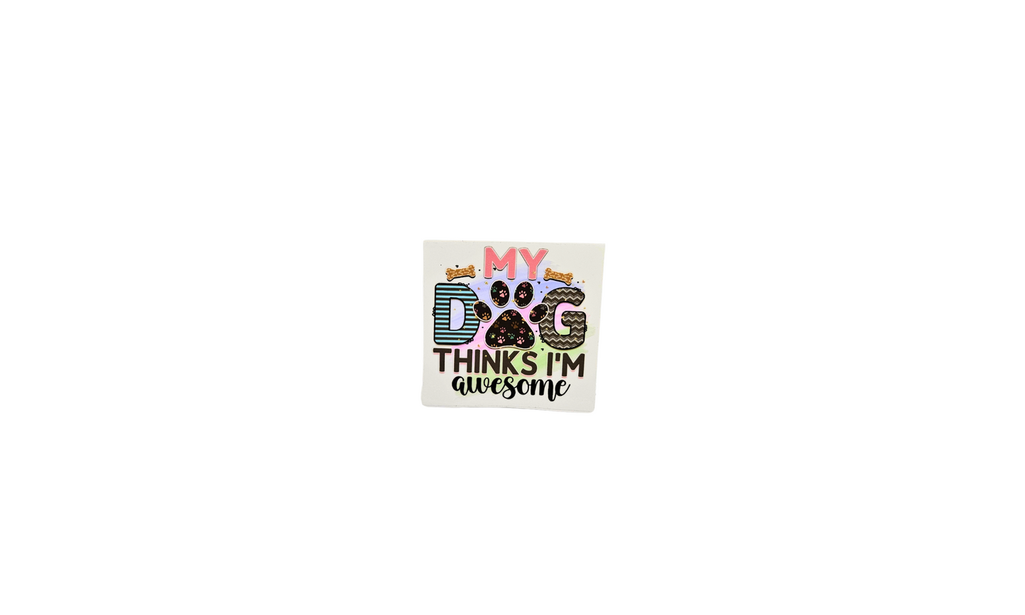 Dog I'm awesome