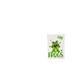 Love frogs