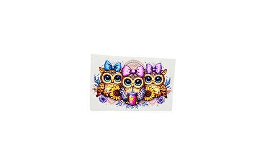 Owls